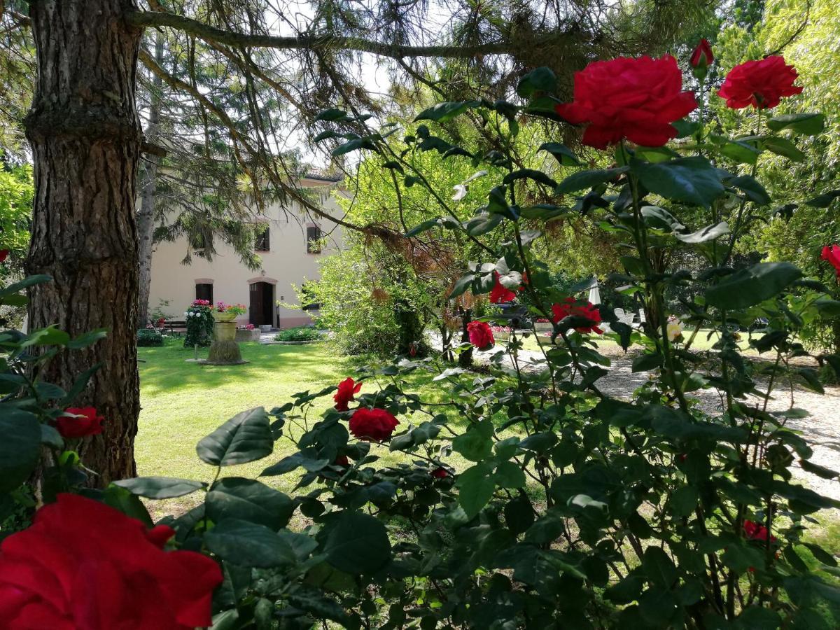 B&B Casa Manuela มานโตวา ภายนอก รูปภาพ